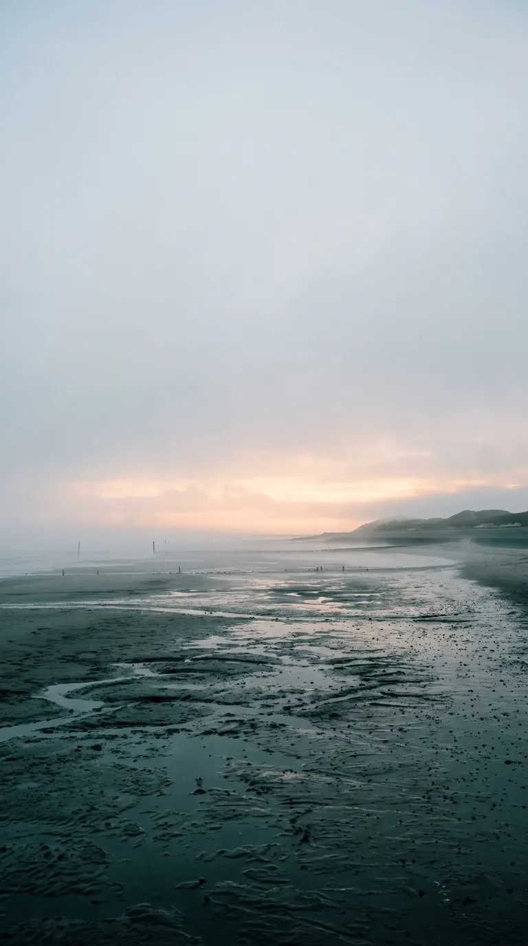 Ruhige Nordseeküste im weichen Abendlicht